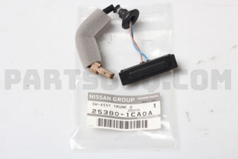253801CA0A SWITCH ASSY-TRUNK OPENER
