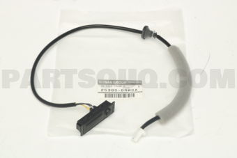 253806GW0A SWITCH ASSY-TRU