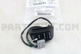 255519Y000 SWITCH