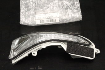 261655UA0A TURN SIGNAL LAM