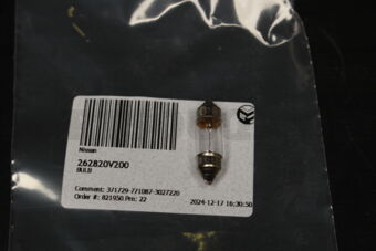 262820V200 BULB