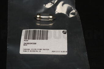 262820V200 BULB