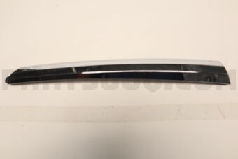 265576JF6A MOULDING REAR C