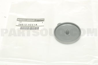 289134CC1A CAP