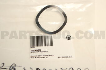 3287603G61 SPRING-CONTROL LEVER