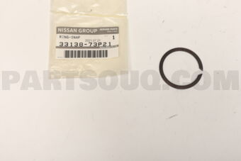3313873P21 RING-SNAP