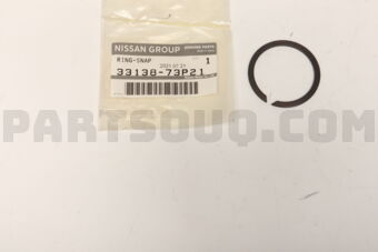 3313873P21 RING-SNAP