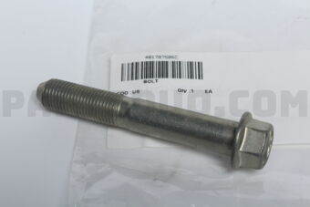 401787S06C BOLT