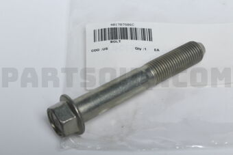 401787S06C BOLT
