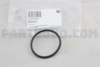 4059744000 O RING