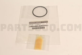 46096EG025 SEAL KIT-O RING