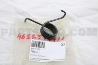 4658589900 SPRING-RETURN