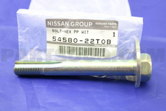 5458022T0B BOLT-HEX PP WIT
