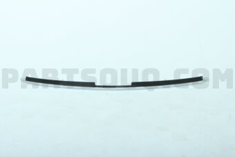 620726GW0A MOULDING FR