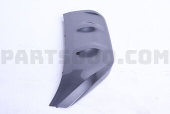 620756SA1A MOULDING-FR,LH