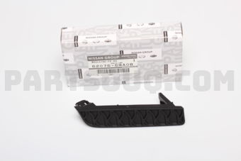 620766GA0B MOULDING-FR,RH