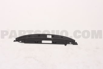620789HS0A MOULDING-F