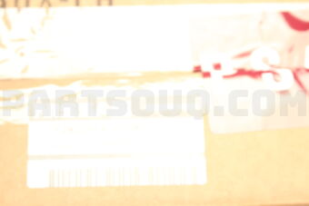 622579HF0B Nissan FINISHER-FRONT