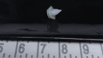 66916VC300 CLIP