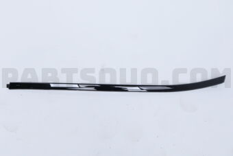 738525VG0A MOULDING ASSY