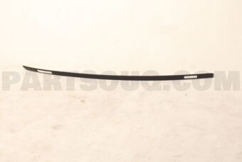 738534CL1A MOULDING ASSY