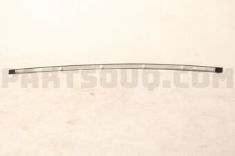 738534CL1A MOULDING ASSY