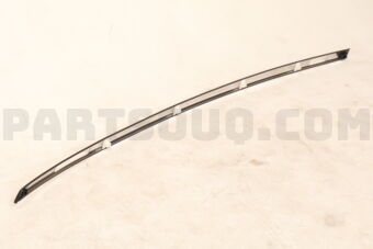 738534CL1A MOULDING ASSY