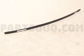 738534CL1A MOULDING ASSY