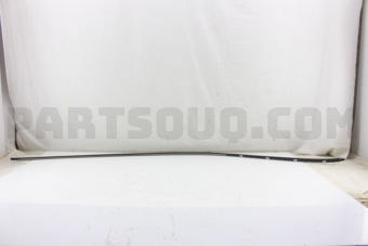 738554GA0A MOUL-ROOF DRIP