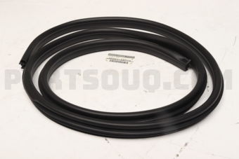 76921VD205 WELT-BODY SIDE,FRONT RH