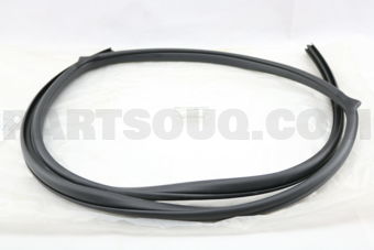 769238H300 WELT-BODY SIDE,REAR RH