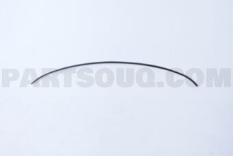 7977222U10 MOULDING-REAR W