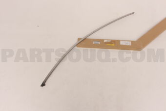 80282JK00B MOULDING-FRONT DOOR SASH,FRONT RH