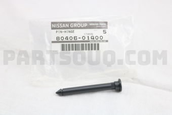 8040601G00 PIN-SPRING