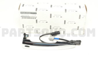 806409AN0A GRIP-OUTSIDE HANDLE,RH