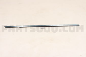 808201LA1B MLDG ASSY FR DO