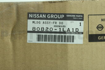 808201LA1D MLDG ASSY-FR DO