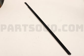 808203XA0B MLDG ASSY-FR DO