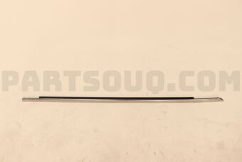 808206TA0A MLDG ASSY-FR DO