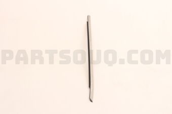808216TA0A MOULDING-DOOR