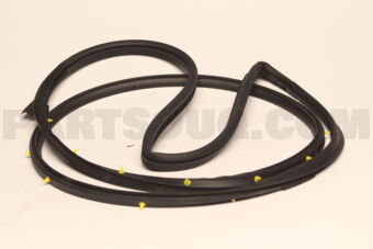 808306FR0A WSTRIP ASSY FR