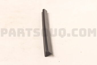 808705NA0A MOULDING
