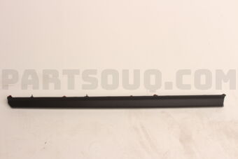 808715NA0A MOULDING