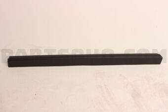 808715NA0A MOULDING