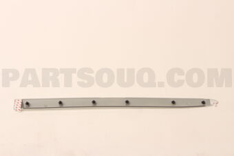 8087295F0E Nissan MOULDING-FRONT DOOR,RH