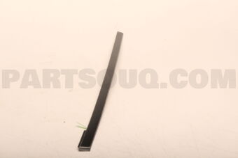 822826TA0A MOULDING