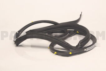 82831CG000 WSTRIP ASSY-RR