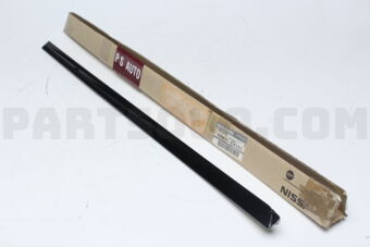 82870EH101 MOULDING