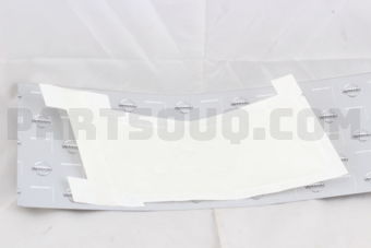 82893CA010 PROTECTOR-DOOR