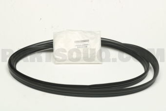 84830EW000 WSTRIP-TRUNK LI